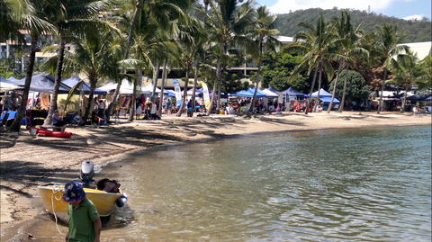 Lions Airlie Beach Community Markets - Accommodation Sydney 0