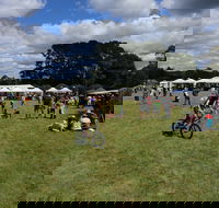 Majors Creek Festival - Accommodation Sydney