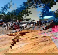 Maleny Wood Expo From Seed to Fine Furniture - Accommodation Sydney