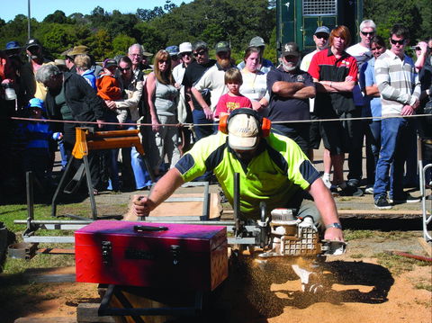 Maleny Wood Expo: From Seed To Fine Furniture - Sydney 4u 2