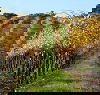 Miners Ridge Wine Tasting - Accommodation Sydney