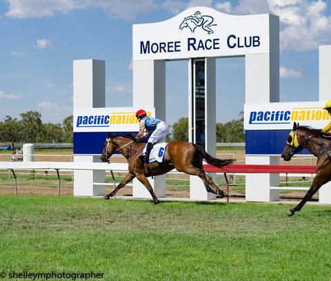 Moree Race Club TAB Race Day - Accommodation Sydney 0