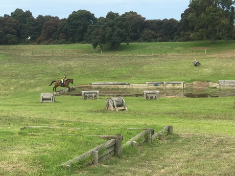 Mount Gambier And District Pony Club Horse Trials 2020 - Accommodation Sydney 0