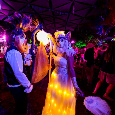 Mushroom Valley Festival - Accommodation Sydney 1
