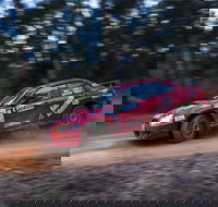 Narooma Forest Rally - Accommodation Sydney