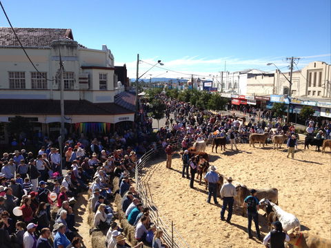 NCMC Casino Beef Week - Sydney 4u 0
