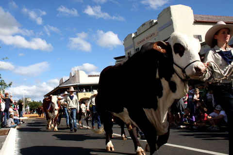 NCMC Casino Beef Week - Sydney 4u 1