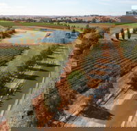 Newcrest Orange Challenge - Accommodation Sydney