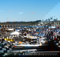 Ocean Harvest Festival - Accommodation Sydney