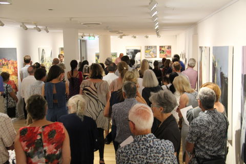 'Redland Art Awards 2020' Exhibition Opening - Accommodation Sydney 0