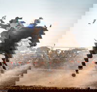 Rodeo by the Sea - Streaky Bay - Accommodation Sydney