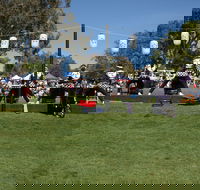 Sakura Matsuri  - Cherry Blossom Festival - in doubt due to Covid-19 - Accommodation Sydney