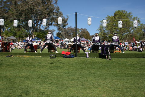 Sakura Matsuri  - Cherry Blossom Festival - In Doubt Due To Covid-19 - Accommodation Sydney 0