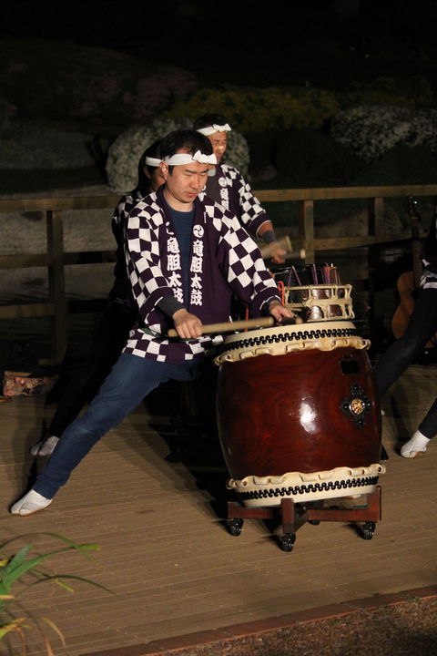 Sakura Matsuri  - Cherry Blossom Festival - In Doubt Due To Covid-19 - Accommodation Sydney 1