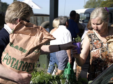 Sale  Producers Market - Accommodation Sydney 0