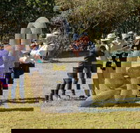 Sculpture for Clyde - Outdoor Exhibition - Accommodation Sydney