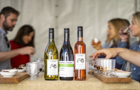 Southern Highlands Food And Wine Festival - Accommodation Sydney 2
