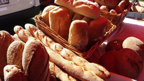 South Geelong Farmers Market - Accommodation Sydney 2