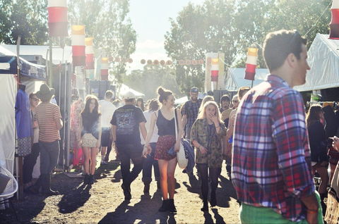 Splendour In The Grass - Accommodation Sydney 1