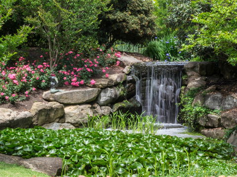 Spring Time At Hunter Valley Gardens - Accommodation Sydney 1