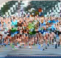 The Canberra Times Marathon Festival - Accommodation Sydney
