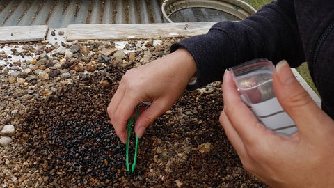 The Minerama Fossicking, Gem And Jewellery Show - Accommodation Sydney 1