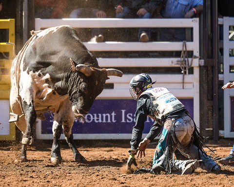The 2020 Virtual Mount Isa Mines Rodeo - Accommodation Sydney 2