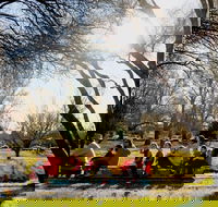 The Orange Society of Model Engineers - Miniature Train Rides - Accommodation Sydney