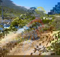 TreX Cross Triathlon Series  Snowy Mountains - Accommodation Sydney