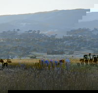 Tumut Cycle Classic - Sydney 4u