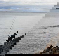 Whale Watching in Portland - Sydney 4u