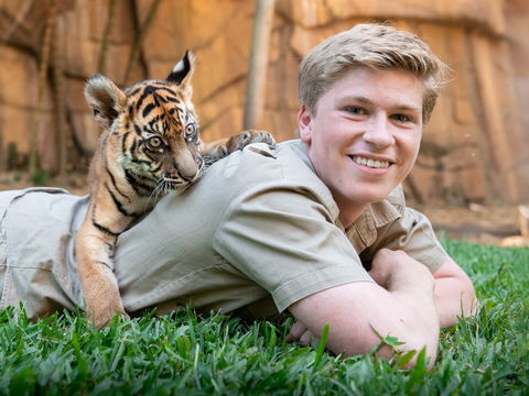 Winter Holiday Fun At Australia Zoo - Accommodation Sydney 0