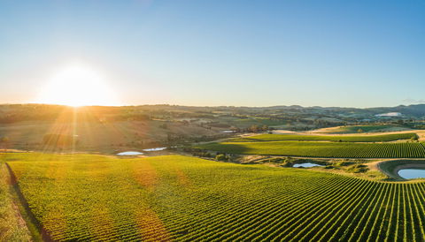 Wine And Food At Altitude - Accommodation Sydney 0