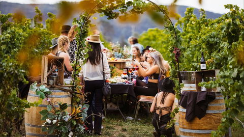Wine Machine - NEW DATE - Accommodation Sydney 1