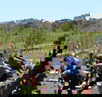 Yoga in the Vines - Accommodation Sydney