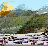 Yoga in the Vines - Accommodation Sydney