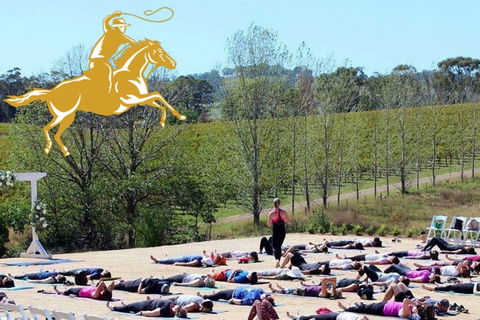 Yoga In The Vines - Accommodation Sydney 0