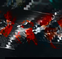 Bonfire Bush Poet and Barbecue under the Stars - Accommodation Sydney