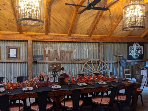 Friday Long Lunch @  Hart Of The Barossa Tasting Shed - Accommodation Sydney 0
