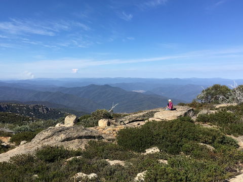 Hedonistic Hiking's Buffalo And Bubbles - Accommodation Sydney 1
