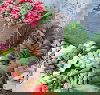 Ma Ma Creek Markets - Accommodation Sydney