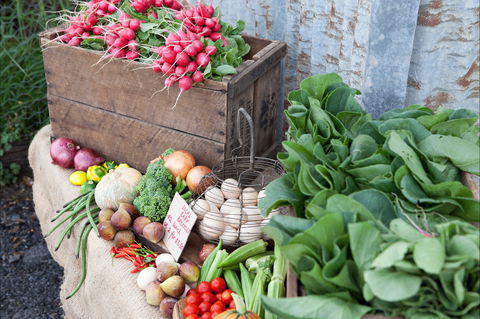 Ma Ma Creek Markets - Accommodation Sydney 0