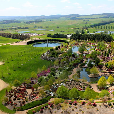 Mayfield Garden Spring Festival - Accommodation Sydney 1