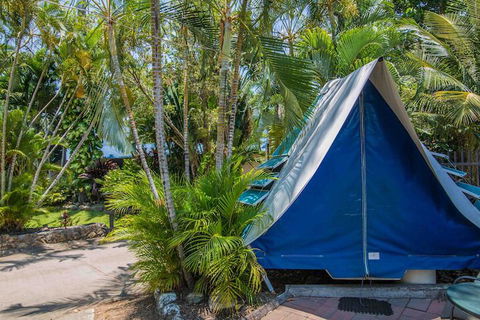 Tasman Holiday Parks - Airlie Beach - Sydney 4u 5