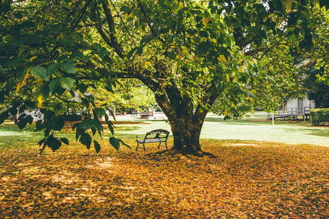 Federation Gardens & Possums Hideaway - Accommodation Sydney 6