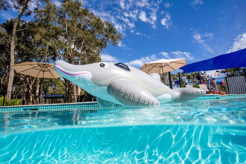 Discovery Parks â€“ Byron Bay - Accommodation Sydney 1