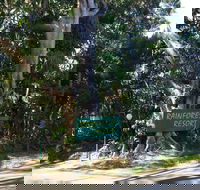 Byron Bay Rainforest Resort - Accommodation Sydney