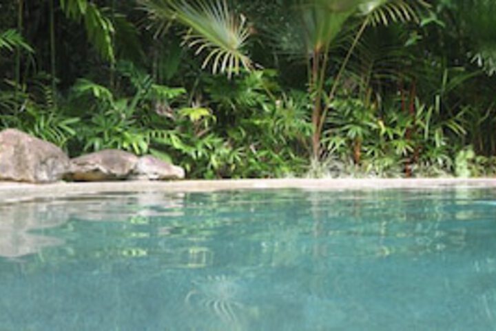 Cow Bay QLD Accommodation Sydney