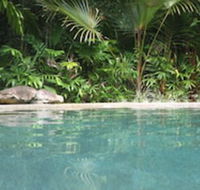 Daintree Rainforest Retreat - Accommodation Sydney