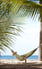Kewarra Beach Resort & Spa - Accommodation Sydney 6